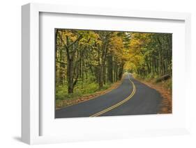 Old Columbia River Highway-Steve Terrill-Framed Photographic Print