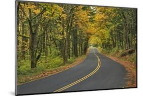 Old Columbia River Highway-Steve Terrill-Mounted Photographic Print