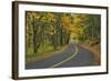 Old Columbia River Highway-Steve Terrill-Framed Photographic Print