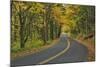 Old Columbia River Highway-Steve Terrill-Mounted Photographic Print