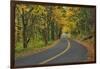Old Columbia River Highway-Steve Terrill-Framed Photographic Print