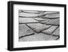 Old Composite Roof with Damage-soupstock-Framed Photographic Print