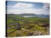 Old Copper Mine, Allihies, Beara Peninsula, Co, Cork and Co, Kerry, Ireland-Doug Pearson-Stretched Canvas