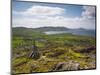 Old Copper Mine, Allihies, Beara Peninsula, Co, Cork and Co, Kerry, Ireland-Doug Pearson-Mounted Photographic Print
