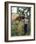 Old Cork Oak is Stripped, Sardinia, Italy-S Friberg-Framed Photographic Print