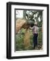 Old Cork Oak is Stripped, Sardinia, Italy-S Friberg-Framed Photographic Print