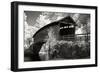 Old Covered Bridge II-Alan Hausenflock-Framed Photographic Print