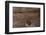 Old Cracked Wooden Surface Background-wasja-Framed Premium Photographic Print