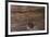 Old Cracked Wooden Surface Background-wasja-Framed Photographic Print