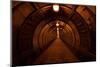 Old Dark Red Tunnel-Zholobov Vadim-Mounted Photographic Print