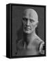 Old Decaying Mannequin, Shot on B&W, Symbol of the Passage of Time-Conrad Levac-Framed Stretched Canvas