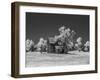 Old deserted farm house with plow-Michael Scheufler-Framed Photographic Print