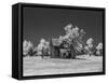 Old deserted farm house with plow-Michael Scheufler-Framed Stretched Canvas