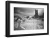 Old Desolated Cemetery Overgrown with Grass and Wildflowers Long Exposure Gives Moody Romantic Feel-kikkerdirk-Framed Photographic Print