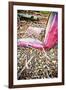 Old Disused Car Seat-Steve Allsopp-Framed Photographic Print