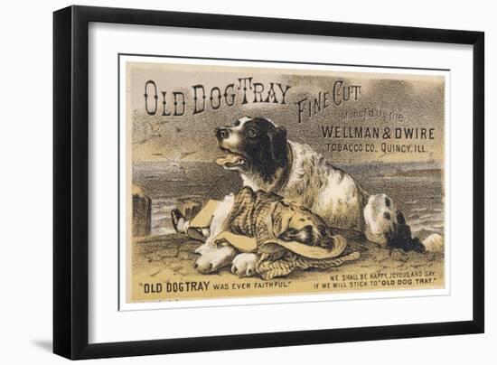 Old Dog Tray Was Ever Faithful (Newfoundland)-null-Framed Art Print