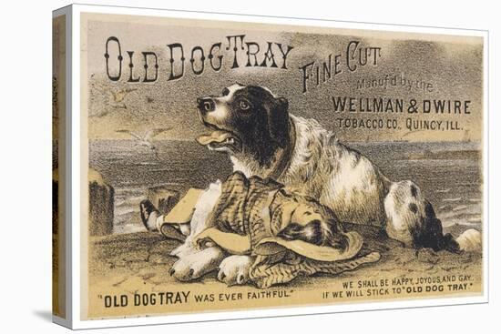 Old Dog Tray Was Ever Faithful (Newfoundland)-null-Stretched Canvas