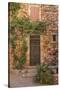 Old Door and House Facade in the Provence-Andrea Haase-Stretched Canvas