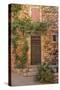 Old Door and House Facade in the Provence-Andrea Haase-Stretched Canvas
