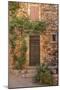 Old Door and House Facade in the Provence-Andrea Haase-Mounted Photographic Print