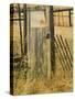 Old Door in Homestead Fence, Montana, USA-Nancy Rotenberg-Stretched Canvas
