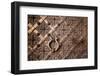 Old Door with Ornament in Royal Wawel Castle, Kracow, Poland.-De Visu-Framed Photographic Print