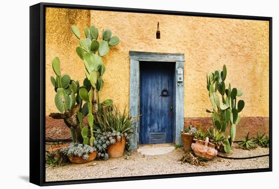 Old Doorway Surrounded by Cactus Plants and Stucco Wall.-BCFC-Framed Stretched Canvas