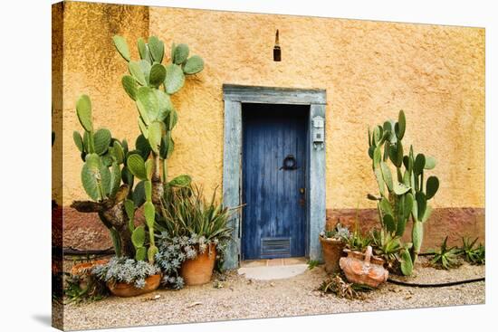 Old Doorway Surrounded by Cactus Plants and Stucco Wall.-BCFC-Stretched Canvas