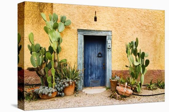 Old Doorway Surrounded by Cactus Plants and Stucco Wall.-BCFC-Stretched Canvas