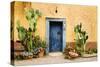 Old Doorway Surrounded by Cactus Plants and Stucco Wall.-BCFC-Stretched Canvas