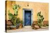 Old Doorway Surrounded by Cactus Plants and Stucco Wall.-BCFC-Stretched Canvas