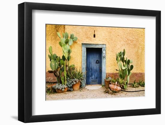Old Doorway Surrounded by Cactus Plants and Stucco Wall.-BCFC-Framed Photographic Print