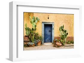 Old Doorway Surrounded by Cactus Plants and Stucco Wall.-BCFC-Framed Photographic Print