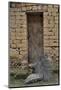 Old Doorway, Traditional Village of Xingping with Broom in Front-Darrell Gulin-Mounted Photographic Print