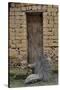 Old Doorway, Traditional Village of Xingping with Broom in Front-Darrell Gulin-Stretched Canvas