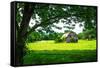 Old Dutch Barn-Alan Hausenflock-Framed Stretched Canvas