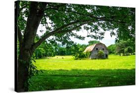 Old Dutch Barn-Alan Hausenflock-Stretched Canvas