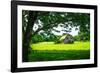 Old Dutch Barn-Alan Hausenflock-Framed Photographic Print