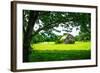 Old Dutch Barn-Alan Hausenflock-Framed Photo