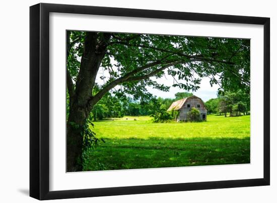 Old Dutch Barn-Alan Hausenflock-Framed Photographic Print