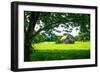 Old Dutch Barn-Alan Hausenflock-Framed Photographic Print