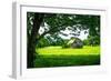 Old Dutch Barn-Alan Hausenflock-Framed Photographic Print