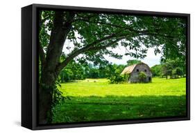 Old Dutch Barn-Alan Hausenflock-Framed Stretched Canvas