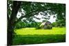 Old Dutch Barn-Alan Hausenflock-Mounted Photo