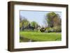 Old Dutch Farm with Haystack and Orchard-Colette2-Framed Photographic Print