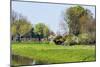 Old Dutch Farm with Haystack and Orchard-Colette2-Mounted Photographic Print