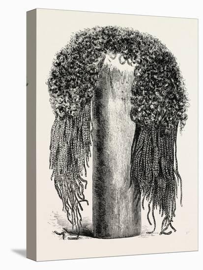 Old Egyptian Lady's Wig, in the British Museum, Egypt, 1879-null-Stretched Canvas