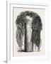 Old Egyptian Lady's Wig, in the British Museum, Egypt, 1879-null-Framed Giclee Print