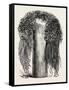 Old Egyptian Lady's Wig, in the British Museum, Egypt, 1879-null-Framed Stretched Canvas