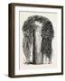 Old Egyptian Lady's Wig, in the British Museum, Egypt, 1879-null-Framed Giclee Print